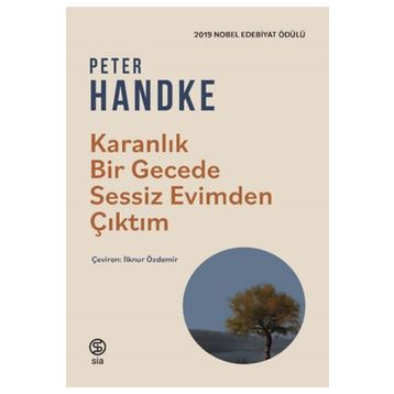 KARANLIK BIR GECEDE - PETER HENDKE