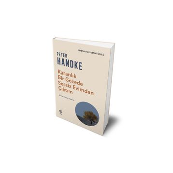 KARANLIK BIR GECEDE - PETER HENDKE