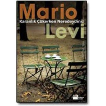 KARANLIK ÇÖKERKEN NEREDEYDINIZ - MARIO LEVI