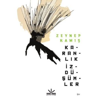 Karanlık İzdüşümler - Zeynep Kamış
