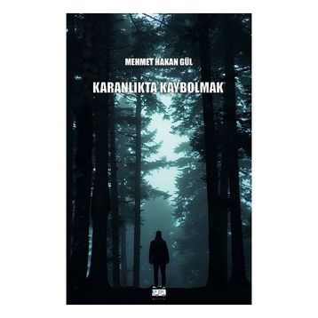 Karanlıkta Kaybolmak - Mehmet Hakan Gül