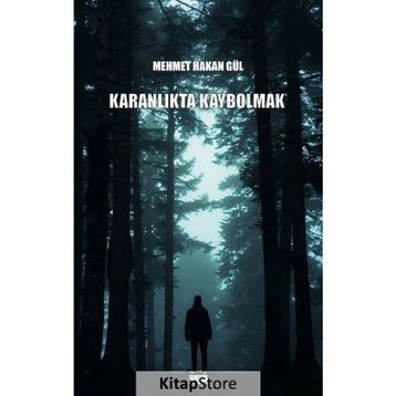 Karanlıkta Kaybolmak - Mehmet Hakan Gül