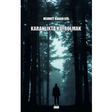 Karanlıkta Kaybolmak - Mehmet Hakan Gül