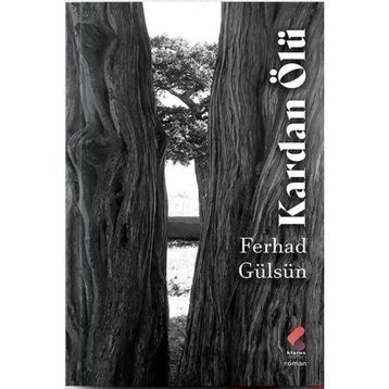 Kardan Ölü Ferhad Gülsün