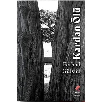 Kardan Ölü Ferhad Gülsün