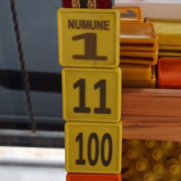 Karetag Hayvan Boyun Numaratörü Çok Haneli Lazer Baskı