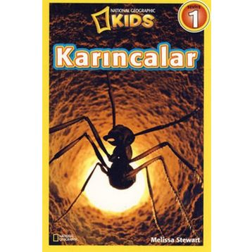 Karıncalar - Seviye 1 - Melissa Stewart