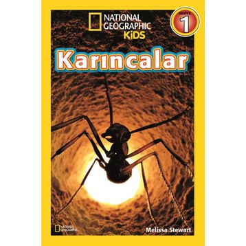Karıncalar - Seviye 1 - Melissa Stewart