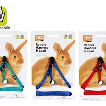 Karlie 100 cm 20-30 cm Uzatmalı Tasma