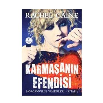 KARMAŞANIN EFENDISI - RACHEL CAINE
