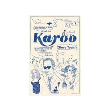 Karoo - Steve Tesich