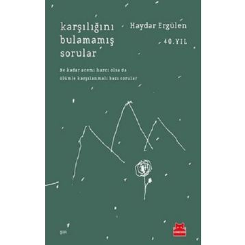 Karşılığını Bulamamış Sorular - Haydar Ergülen