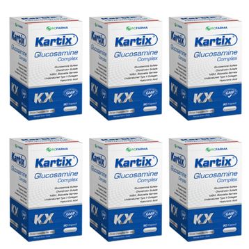 Kartix Glucosamine Complex 6x90 Kapsül