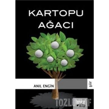 KARTOPU AĞACI - GENEL