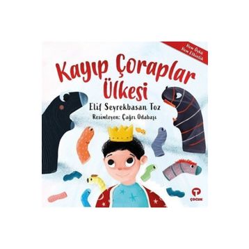 Kayıp Çoraplar Ülkesi Elif Seyrekbasan Toz