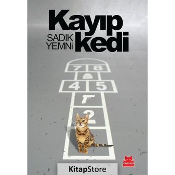 Kayıp Kedi - Sadık Yemni
