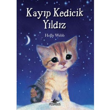 Kayıp Kedicik Yıldız - Holly Webb