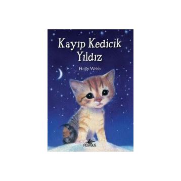 Kayıp Kedicik Yıldız - Holly Webb