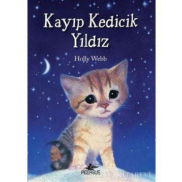 Kayıp Kedicik Yıldız - Holly Webb