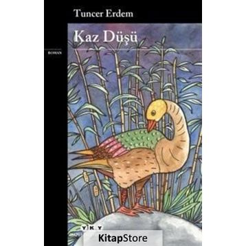 Kaz Düşü - Tuncer Erdem