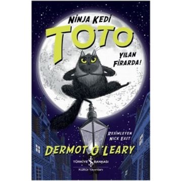 KEDI FIRARDA - C. FIENGO;C. STRINGER