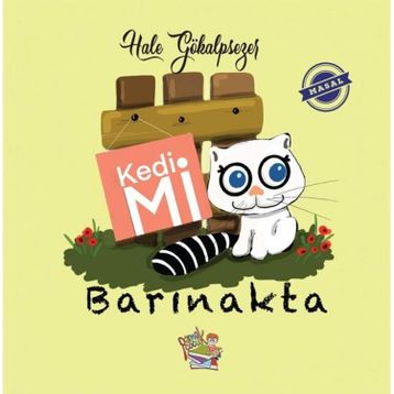 Kedi Mi Barınakta - Hale Gökalpsezer