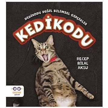 Kedikodu Recep Bilal Aksu