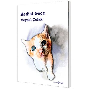 Kedisi Gece - Veysel Çolak