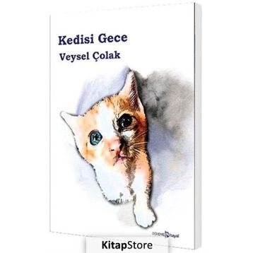 Kedisi Gece - Veysel Çolak