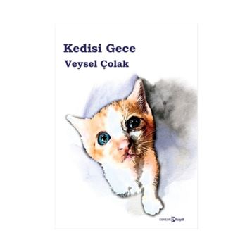 Kedisi Gece - Veysel Çolak