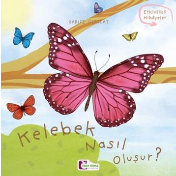 Kelebek Nasıl Oluşur? Zarife Üstpolat