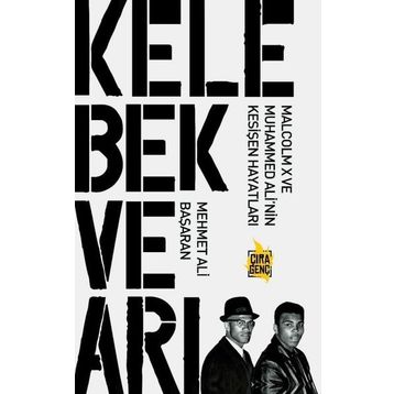 Kelebek ve Arı - Mehmet Ali Başaran