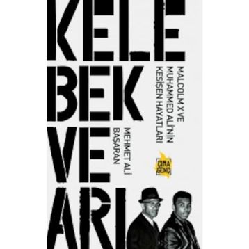 Kelebek ve Arı - Mehmet Ali Başaran