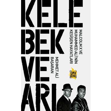 Kelebek ve Arı - Mehmet Ali Başaran