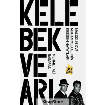 Kelebek ve Arı - Mehmet Ali Başaran