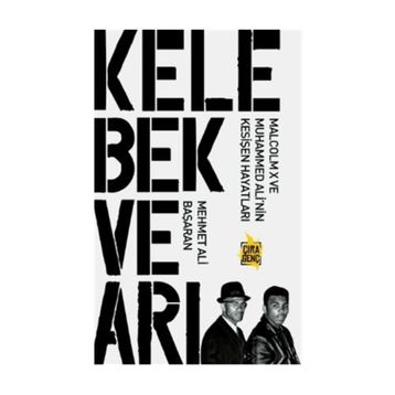 Kelebek ve Arı - Mehmet Ali Başaran