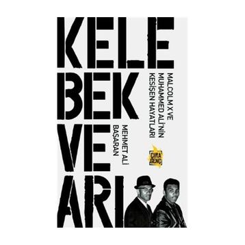 Kelebek ve Arı - Mehmet Ali Başaran
