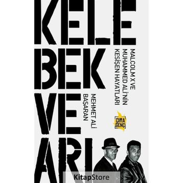 Kelebek ve Arı - Mehmet Ali Başaran