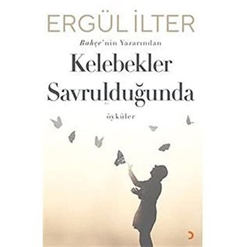 Kelebekler Savrulduğunda - Ergül İlter