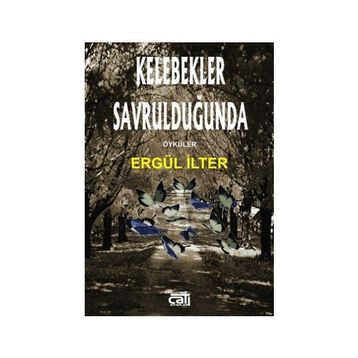 Kelebekler Savrulduğunda - Ergül İlter