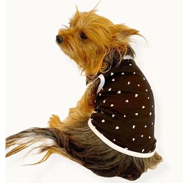 Kemique Black Hearts Siyah Köpek Kıyafeti
