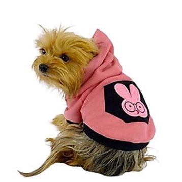 Kemique Student Rabbit Sweatshirt Köpek Elbisesi