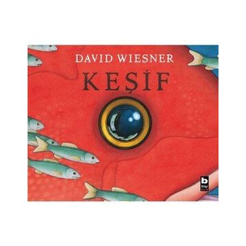 Keşif David Wiesner