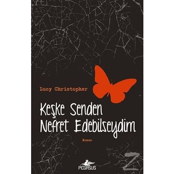 Keşke Senden Nefret Edebilseydim - Lucy Christopher