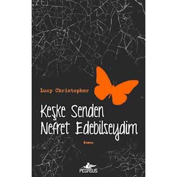 Keşke Senden Nefret Edebilseydim - Lucy Christopher