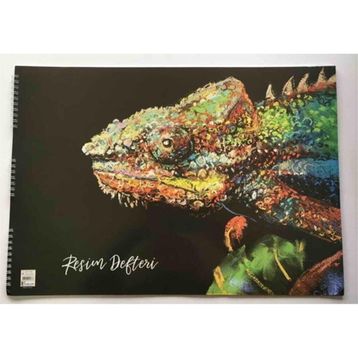 Keskin Color 15 Yaprak 35 X 50 Spiralli Resim Defteri