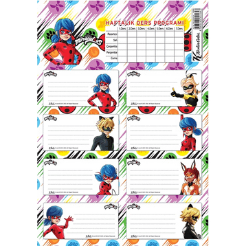 Keskin Color 220130-84 Lady Bug Ders Programlı 3'lü Okul Etiketi