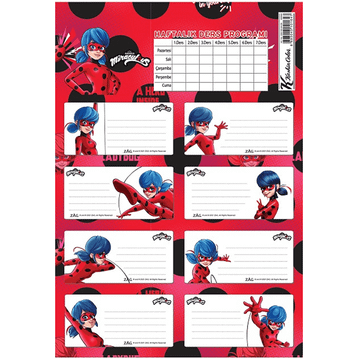 Keskin Color 220130-84 Lady Bug Ders Programlı 3'lü Okul Etiketi