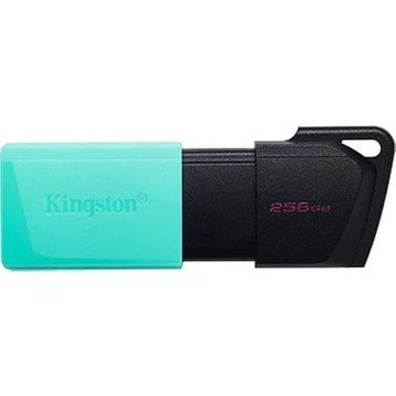 Kingston DataTraveler Exodia DTXG2/256GB USB 3.2 Gen1 256 GB Flash Bellek