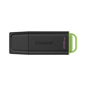 Kingston DataTraveler Exodia DTXG2/256GB USB 3.2 Gen1 256 GB Flash Bellek